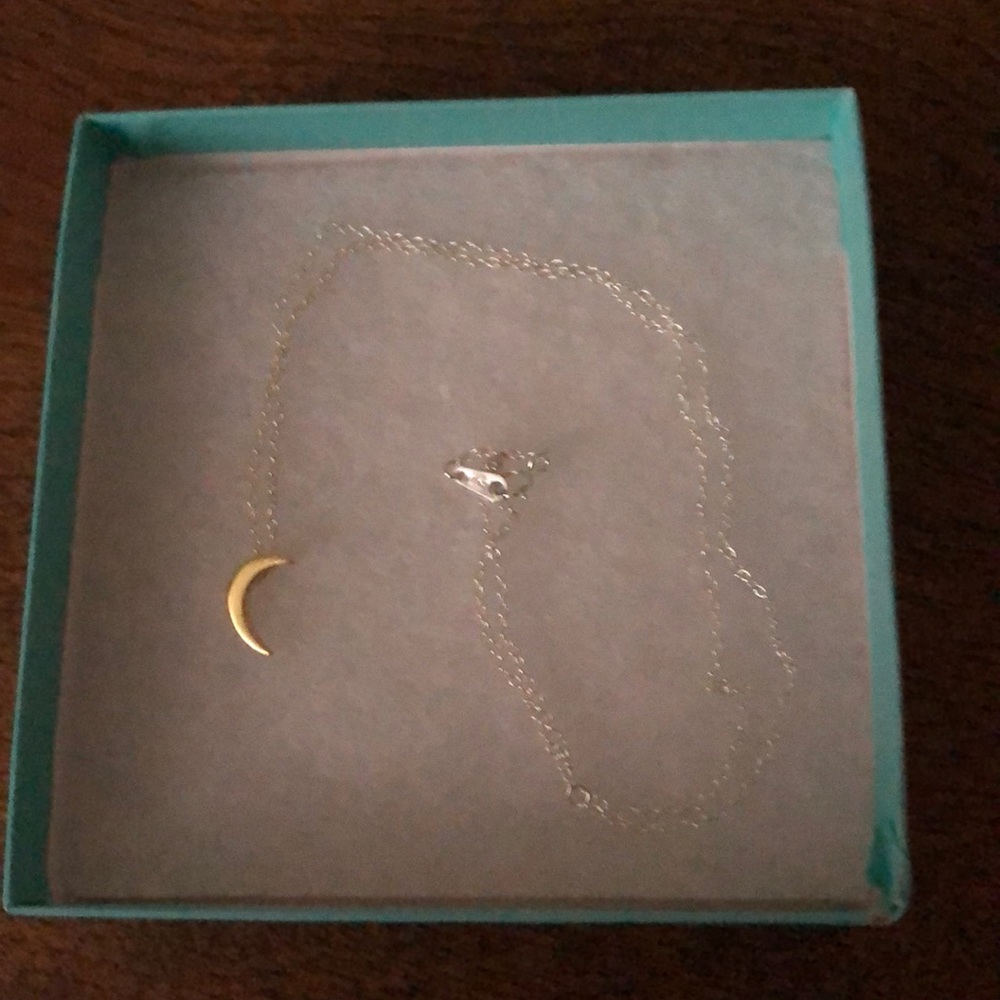 Crescent Moon Necklace